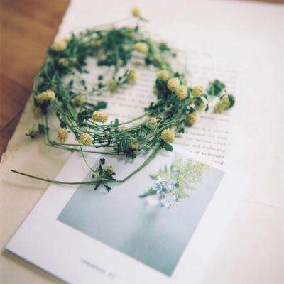 安博体育的最新版本