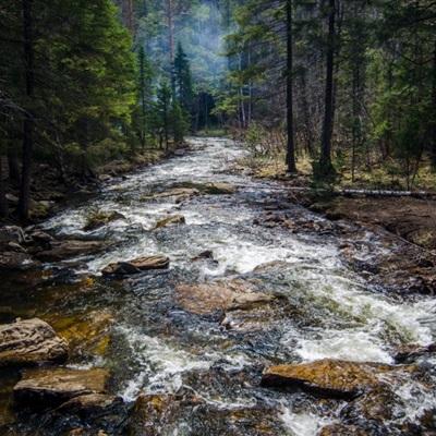 LD乐动体育官方入口